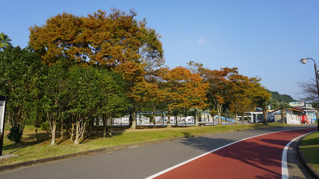 DSC06347_R