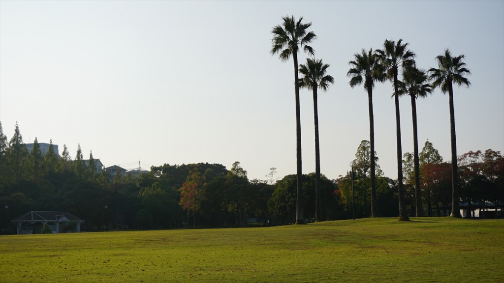 DSC06378_R