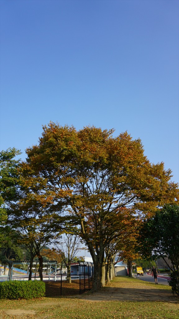 DSC06384_R