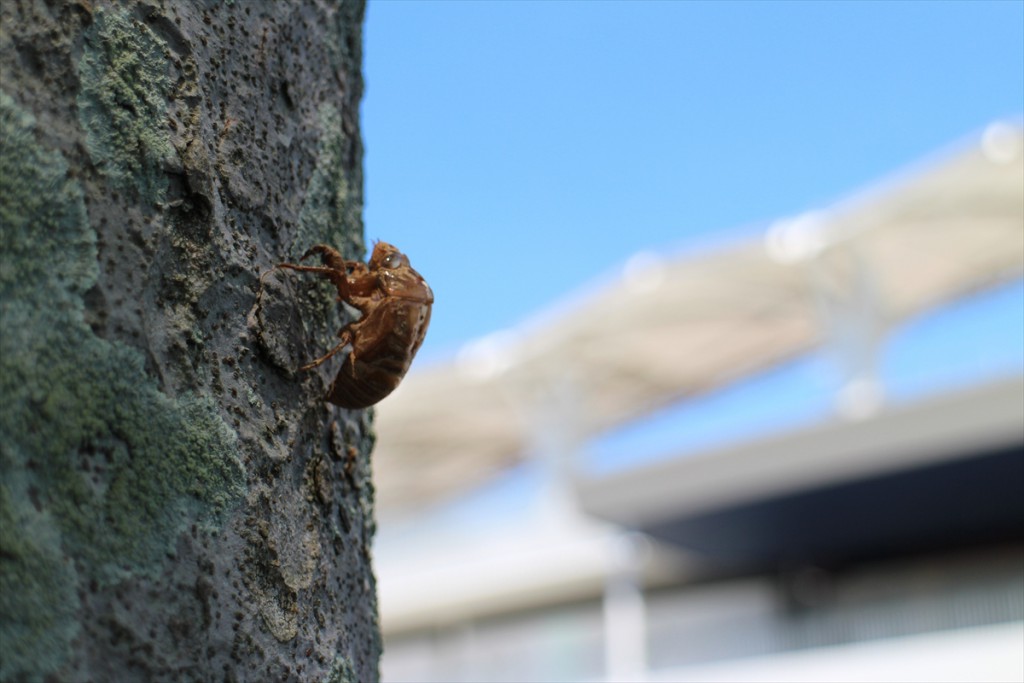 IMG_1874_R