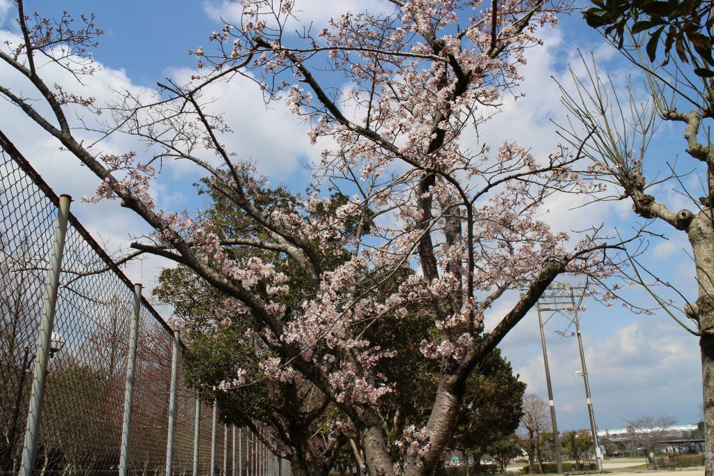IMG_29881圧縮